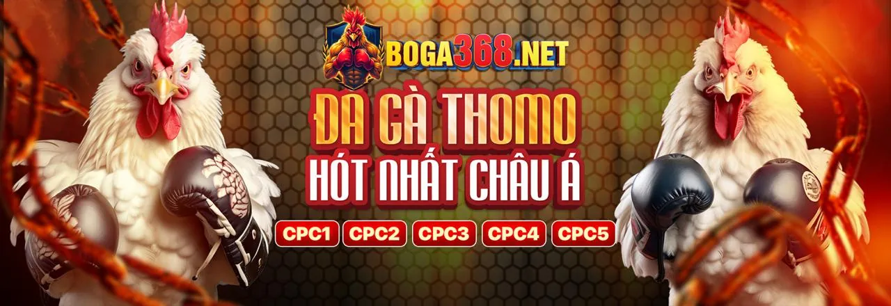 Hình ảnh chính blog VIN55 Trang Chủ Chính Thức